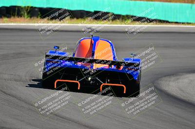 media/Apr-07-2024-VIP Trackdays (Sun) [[358c235f4a]]/Advanced Group/Session 3 (Turns 3 and 4a)/